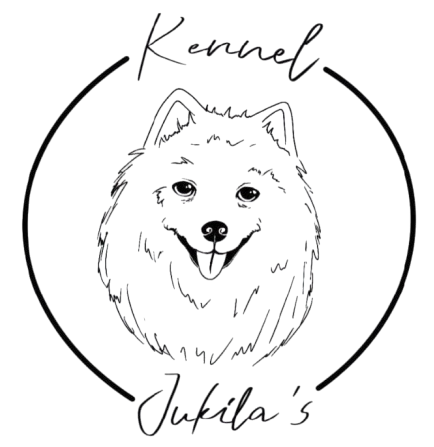 Jukila's